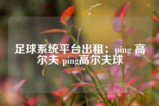 足球系统平台出租：ping 高尔夫 ping高尔夫球