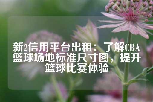 新2信用平台出租：了解CBA篮球场地标准尺寸图，提升篮球比赛体验-第1张图片-皇冠信用盘出租