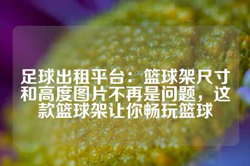 足球出租平台：篮球架尺寸和高度图片不再是问题，这款篮球架让你畅玩篮球