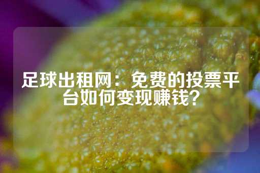 足球出租网：免费的投票平台如何变现赚钱？