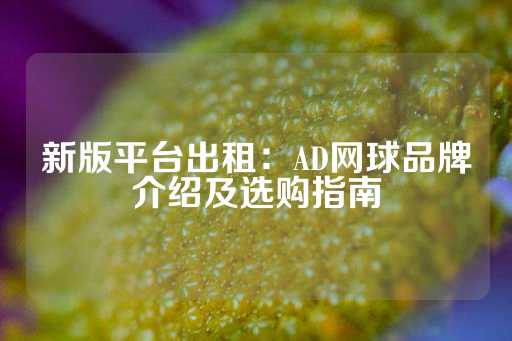 新版平台出租：AD网球品牌介绍及选购指南